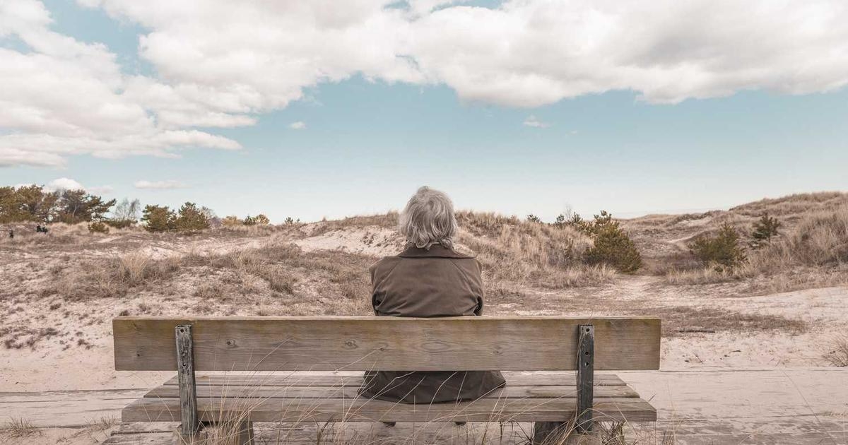 Abstract colorful design elements flowing across a digital canvas