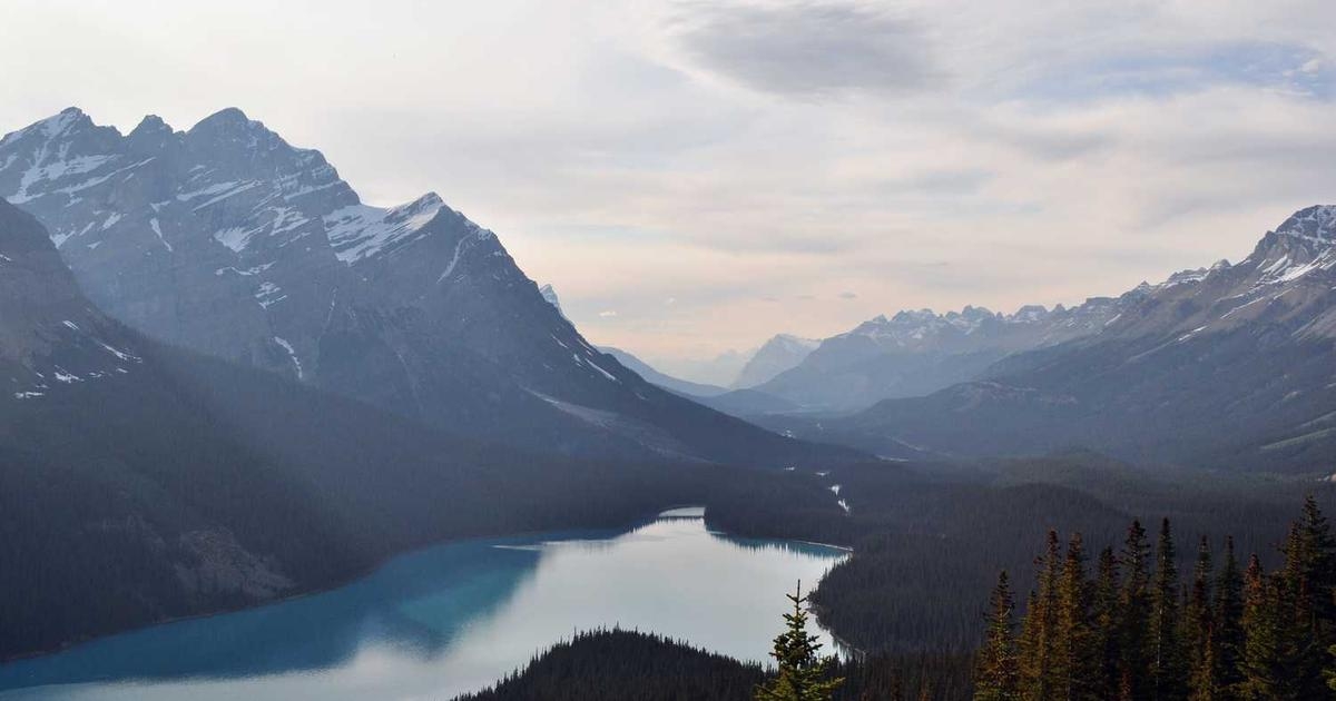 Developer watching a coding tutorial on a large monitor